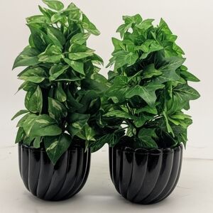 Artificial Greenery in Black Planters